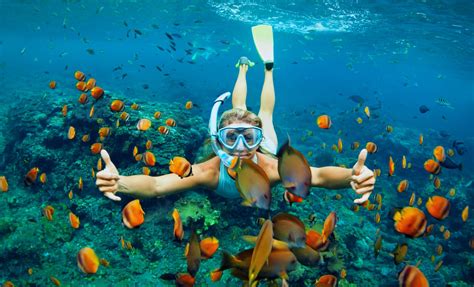 Snorkeling Tips for a Memorable Experience on Magic Island